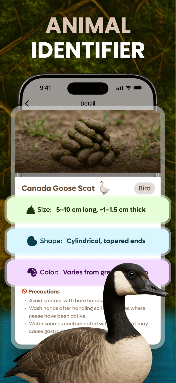 Detailed species information